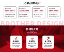 公司品牌初创型发展型稳定型成熟型企业LOGO诊断设计初稿方案