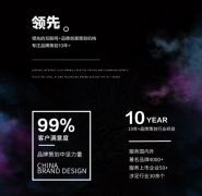 品牌策划品牌故事品牌全案品牌介绍品牌理念
