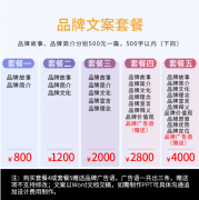 品牌故事企业文化公司简介绍理念文案策划定位愿景口号价值观写作