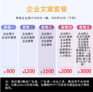 品牌故事企业文化公司简介绍理念文案策划定位愿景口号价值观写作