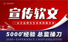 营销软文撰写品牌产品文案营销软文全案策划广告海报单页画册文案