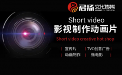 抖音短视频微电影动画企业宣传片脚本剧本文案解说词策划创作制作