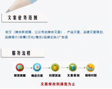 品牌策划全案品牌故事企业公司简介品牌文化品牌理念产品文案写作