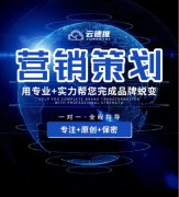 营销策划公司品牌产品推广策划企业文化故事创意撰写营销推广