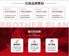 营销策划品牌营销策划咨询品牌全案产品营销上市企业营销策划网络