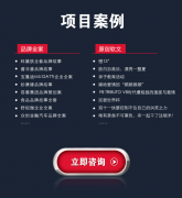 产品介绍说明书5年资深写手编辑品牌文案策划户外广告语全部原创