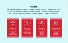 品牌策划品牌故事营销企业公司文化产品定位广告语创意文案写作